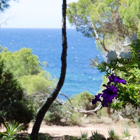Villa Buonumore Porto Pino Exterior foto